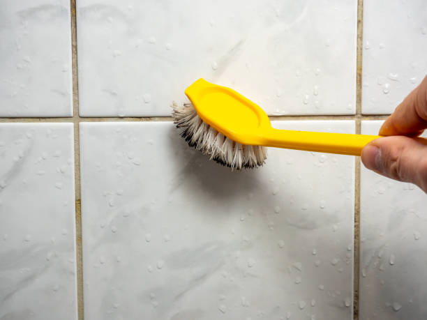 Best Basement Mold Remediation in English Creek, NJ